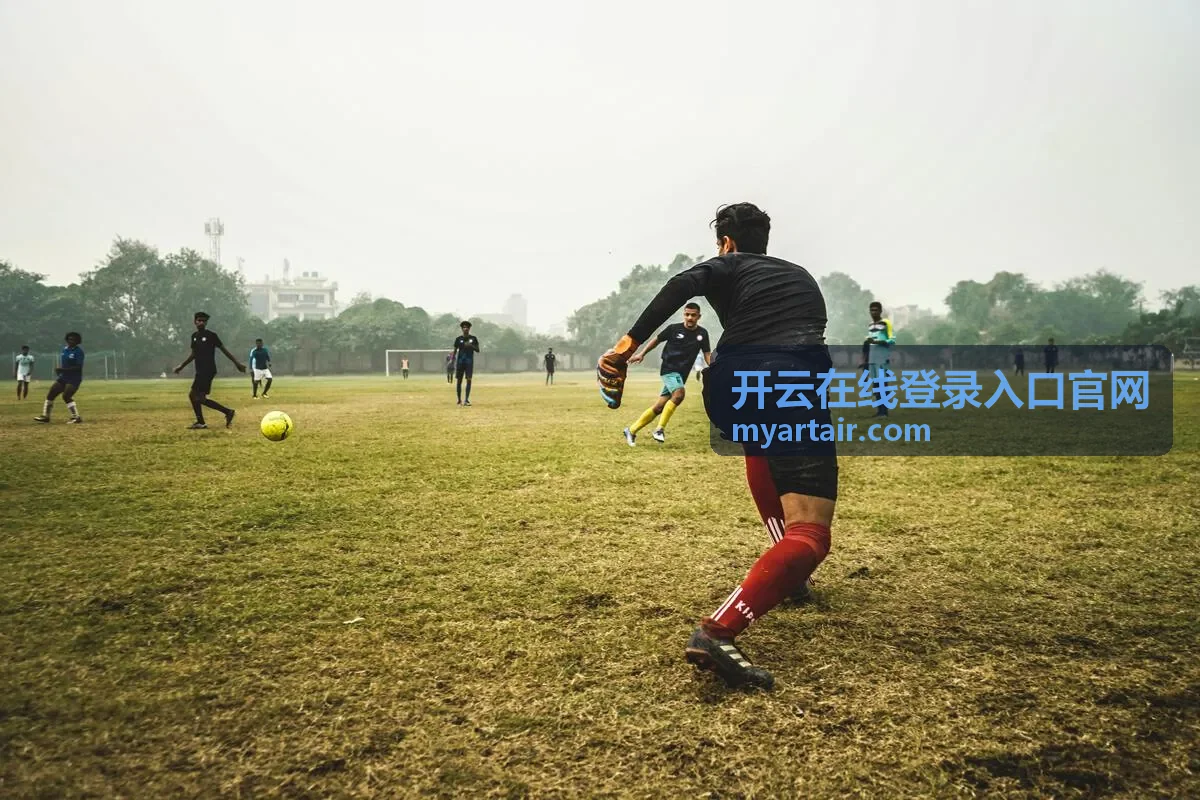 开云在线登录入口官网数据面板界面