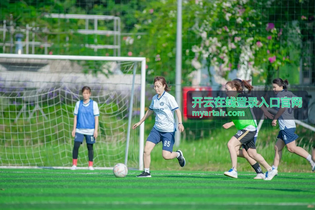 开云在线登录入口官网用户头像一