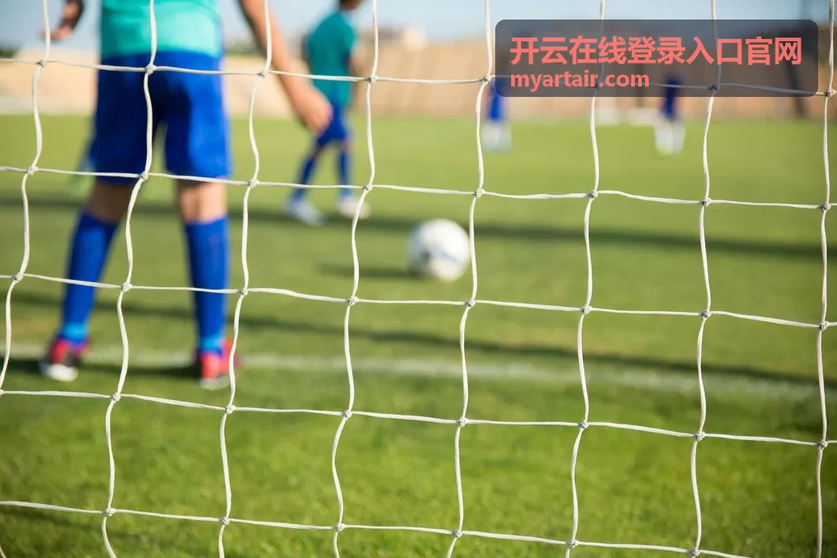 开云在线登录入口官网用户头像三