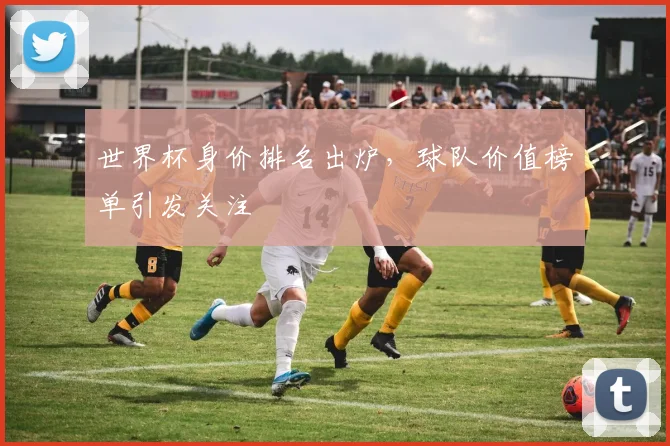 世界杯身价排名出炉,球队价值榜单引发关注